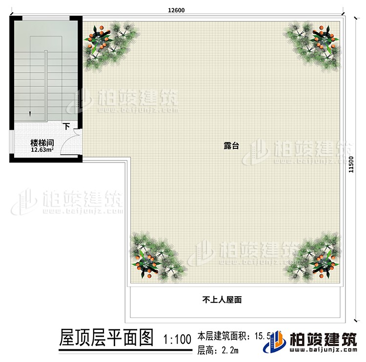 房頂：樓梯間、露臺