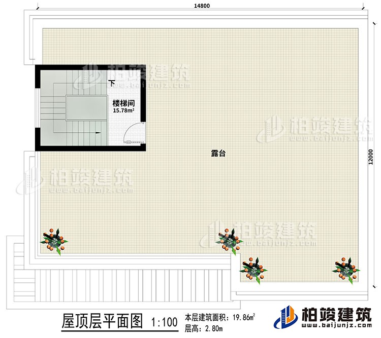 屋頂：樓梯間、露臺