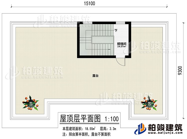 屋頂：樓梯間、露臺(tái)